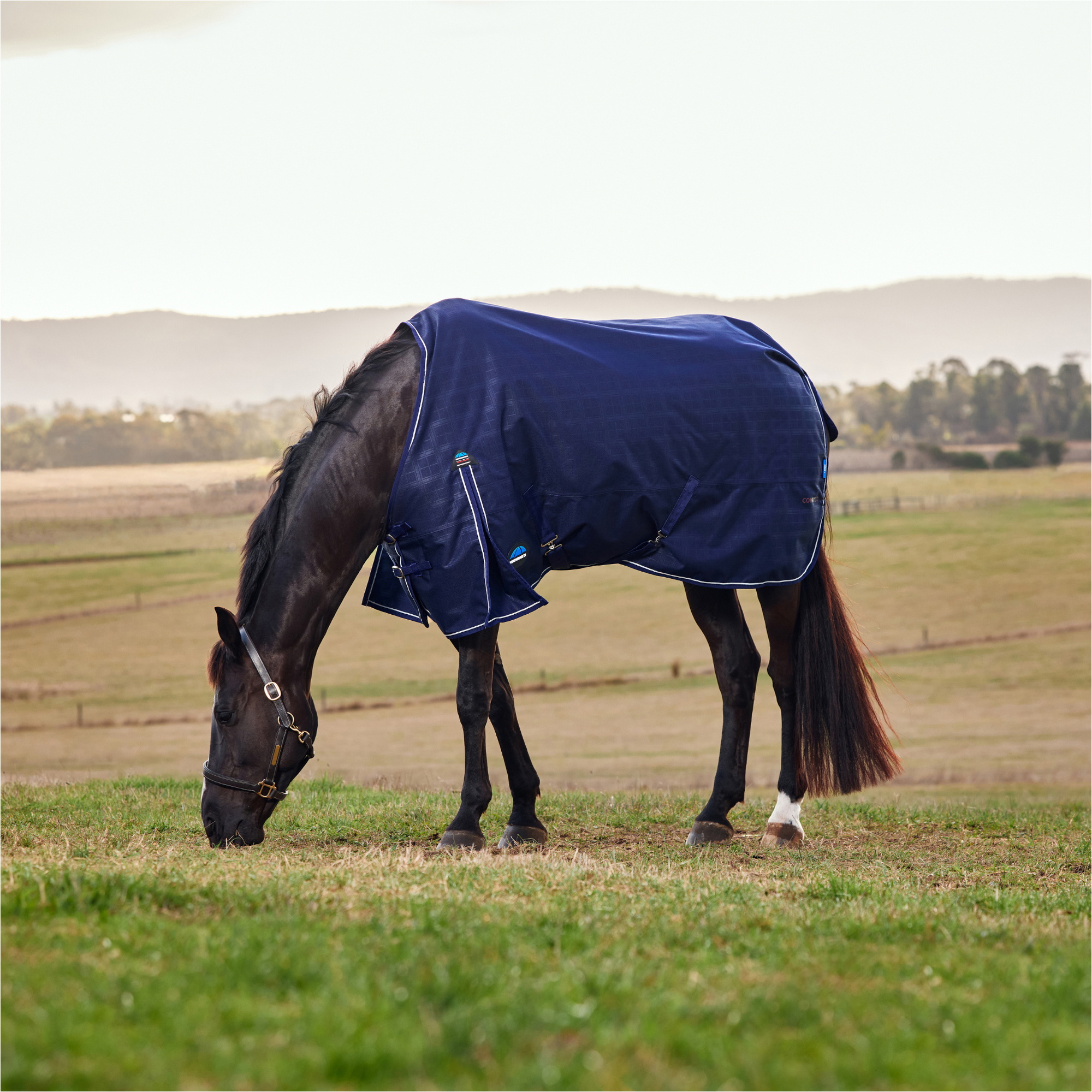 2025 Weatherbeeta Comfitec Prelim Salida 220G 1029032 - Navy Embossed Plaid